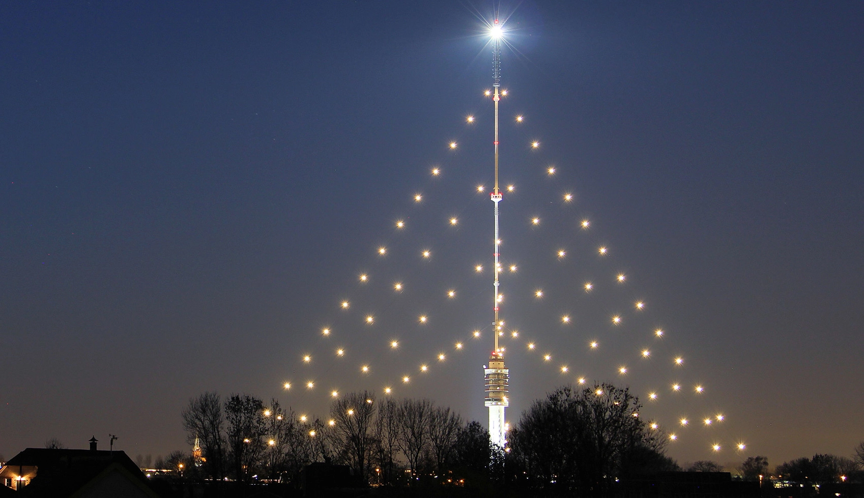 Grootste kerstboom van Nederland